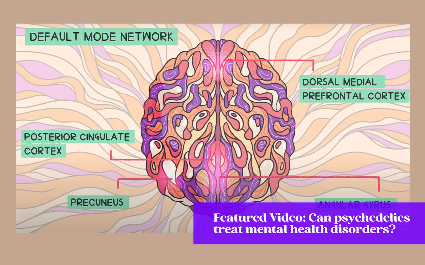 Can Psychedelics Treat Mental Health Disorders?
