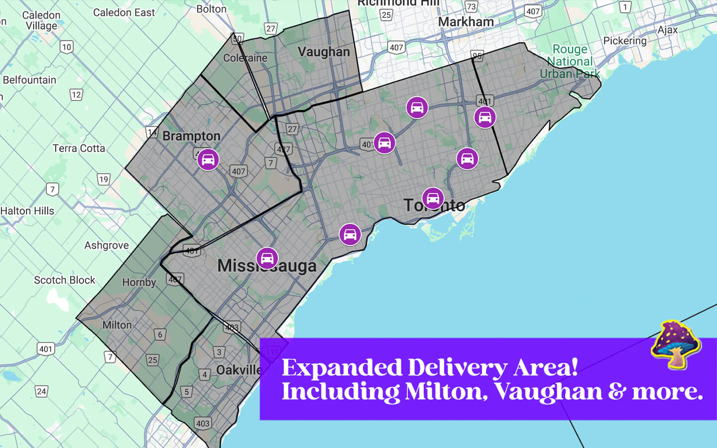 Buy Mushrooms Canada Delivery Expands! Now Delivering to Vaughan & Milton